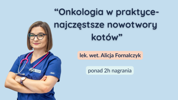 Onkologia w praktyce- najczęstsze nowotwory kotów