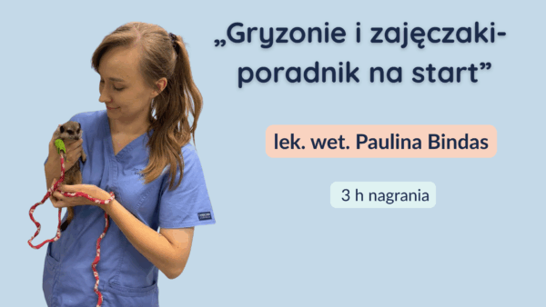 Gryzonie i zajęczaki – poradnik na start