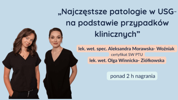 Najczęstsze patologie w USG- na podstawie przypadków klinicznych
