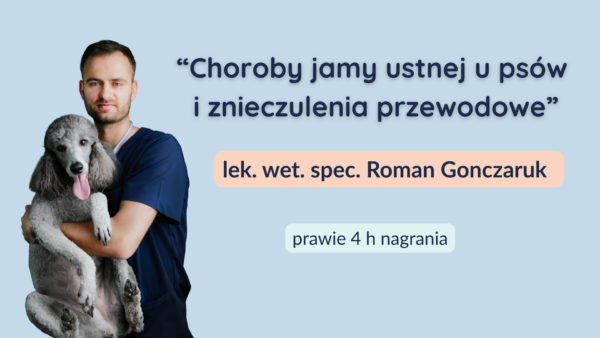Choroby jamy ustnej u psów i znieczulenia przewodowe
