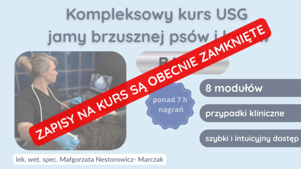Kompleksowy kurs USG jamy brzusznej psów i kotów basic
