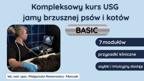 Kompleksowy kurs USG jamy brzusznej psów i kotów basic