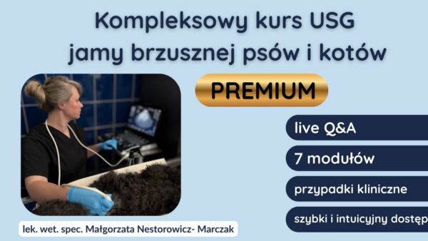 Kompleksowy kurs USG jamy brzusznej psów i kotów premium