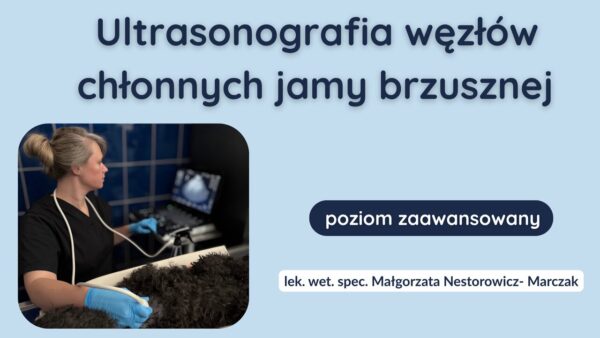 Ultrasonografia węzłów chłonnych jamy brzusznej