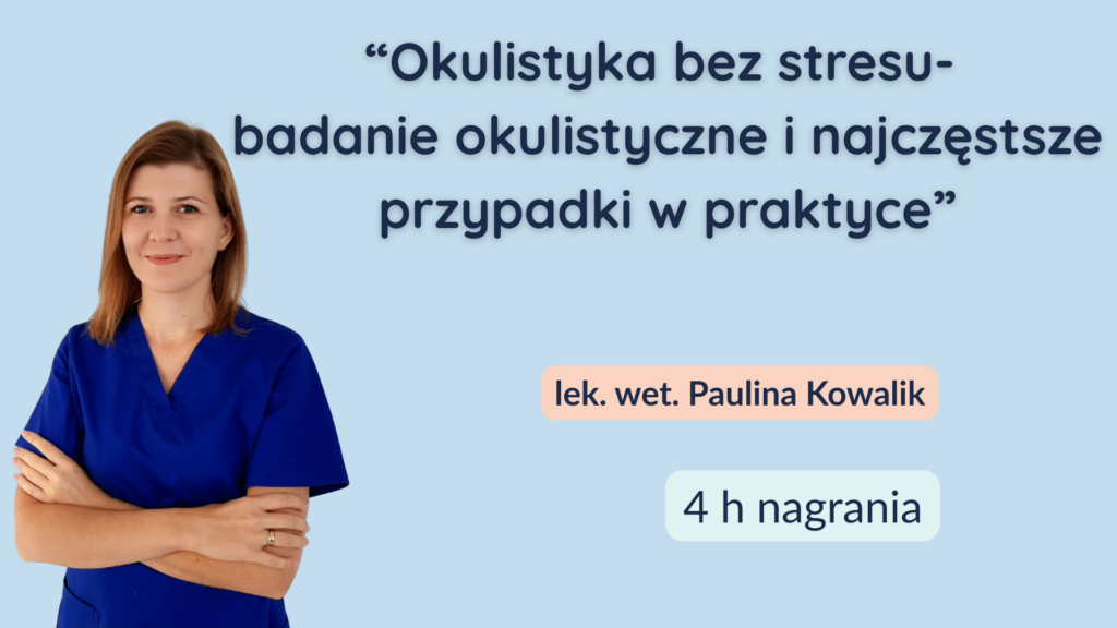 Okulistyka bez stresu- badanie okulistyczne i najczęstsze przypadki w praktyce
